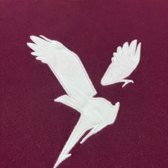 American Eagle Outfitters Berry V-Neck Long Sleeve Tee - Picture 2 of 3